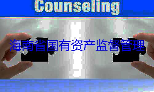 委副书记王有福接受审海南省国有理委员会党资产监督管查调查